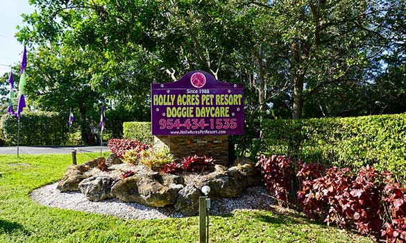 Holly Acres Pet Resort