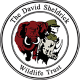 David Sheldrick Wildlife Trust